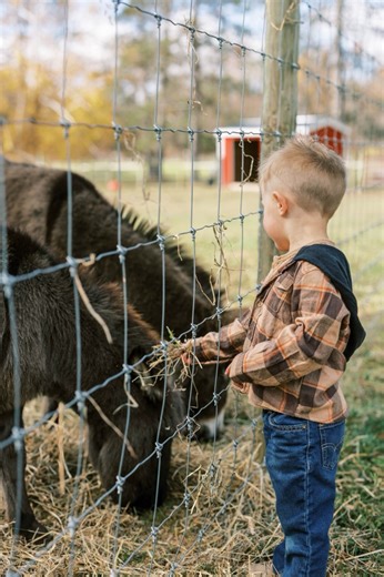 Wingo Family sneak peeks! ✨ All I can say about this session is it was FUN FUN FUN! Oh…and did I mention…FUN?! Mercy! Such a good time! It was a perfect fall day following their family around as they enjoyed everything Wilderness Valley Farm has to offer! I really can’t recommend this place enough & am so grateful I got to experience it for the first time doing exactly this! Thank you Wingo family and thank you Wilderness Valley Farm! 🧡 | Caitlyn Marlane Photography