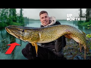 Vom Ufer auf MONSTER-Hechte! UpNorth 2.0 (7)