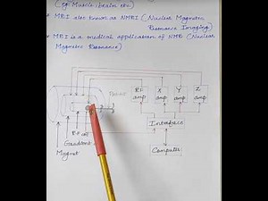 Biomedical Instrumentation- MRI scan
