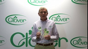 Clover Chibi Jumbo Bent Tip Darning Needle Set