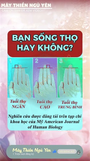 nhạc ngủ ngon , nhạc thiền , nhạc không lời , nhạc remic, nhac bolero Chill
