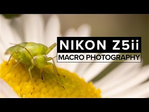 Nikon Z5ii Macro Photography | Real World Review | Just FANTASTIC!