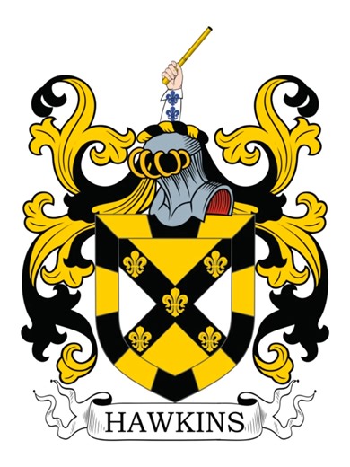 Hawkins Coat of Arms, Family Crest #heraldry #genealogy #ancestry #coatofarms