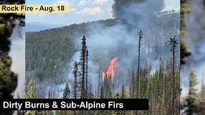 Reaching containment on the Rock Fire was hindered by many factors. Fire Behavior Analyst Ken Larson explains how fuel types can shape firefighting tactics. | U.S. Forest Service - Boise National Forest