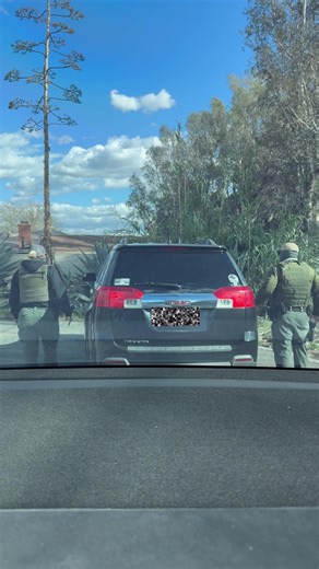 Understanding Your Constitutional Rights During Police Stops