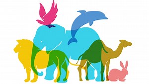 Is it too late to save wildlife?