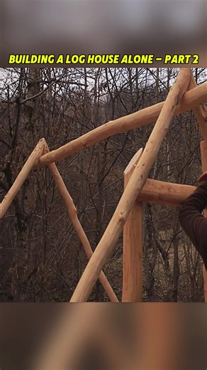 Building a Log Cabin Solo: Part 2
