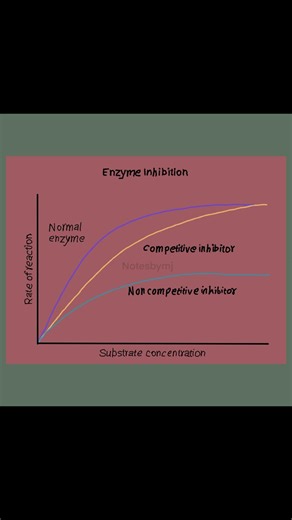 confused by how inhibitors "block" or "change" enzymes.Enzyme Inhibition Explained 🧬