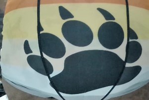 Padded Nerd Bear farts in his diaper