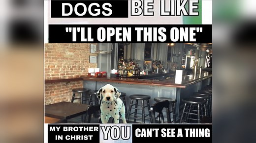 Sumerian Bar Joke | Know Your Meme