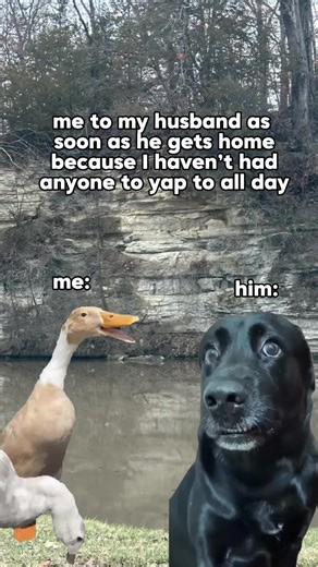 #Meme #MemeCut #sahmlife #yapper | yapping sound meme