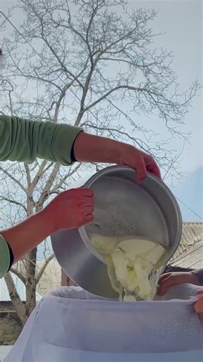 Mountain-Made Artisanal Cheese: Traditional Process
