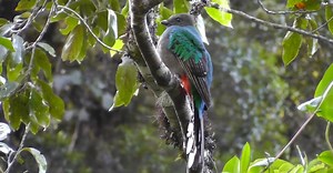 Video by Shubh Haque on Pexels