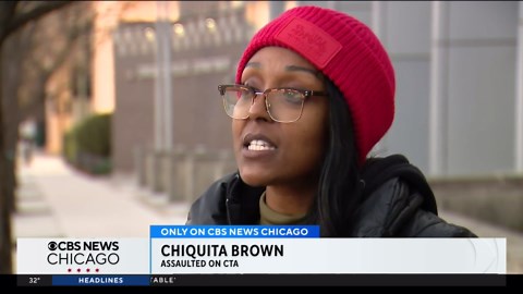 Woman groped on CTA Red Line train fights off offender
