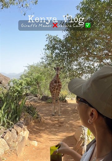 Kenya Vlog 7: Giraffe Overload Experience