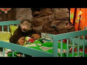 Koekeloere Kleur bekennen