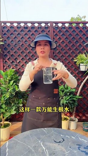 DIY Universal Rooting Agent at Home: Easy Steps