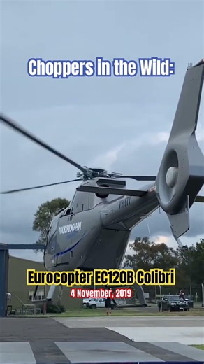 Eurocopter EC120B Colibri - 4 November. 2019 - Choppers in the Wild