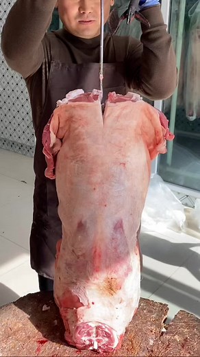 Tài khoản được đề xuất