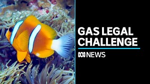 Activists say gas project in WA could threaten the Great Barrier Reef