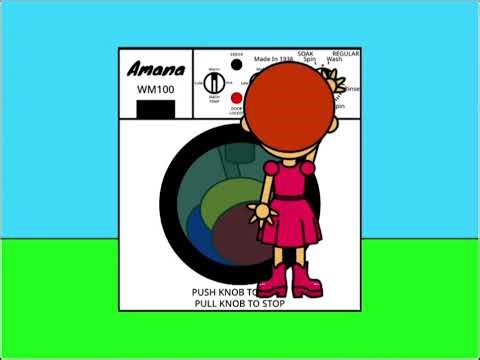 My Old Amana Washing Machine - Won't Start Cycle