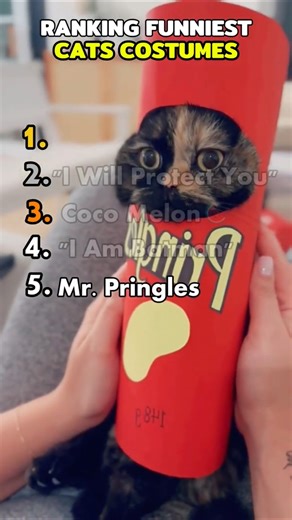 RANKING THE FUNNIEST CAT COSTUMES EVER! 👑🐱