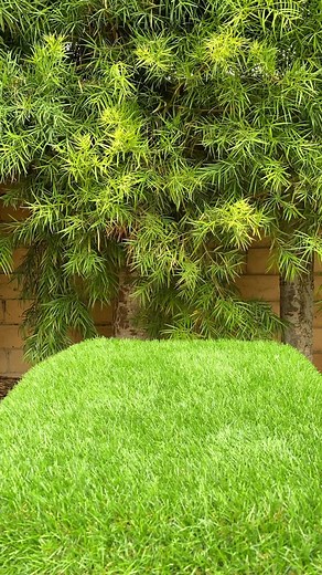 Did you ever make homemade ice cream using Rock Salt in an old fashioned churner that you cranked by hand? When I was a kid, my family made it all the time. These days, I buy the rock salt for fake ice, 😂 but it always reminds me of my childhood and ice cream 🍨. This miniature tent 🏕️ made by Tiny Tents is such a fun mini. The Coleman ice chest is one of my favorite tiny things and I filled it with Mini Brands. The little BBQ and mini foods are ReMent. #minibrands #miniatures #miniatureworld 