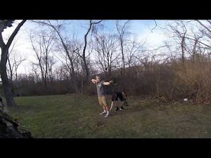 Mathews Halon 32 and Mathews Creed shooting 50 yards