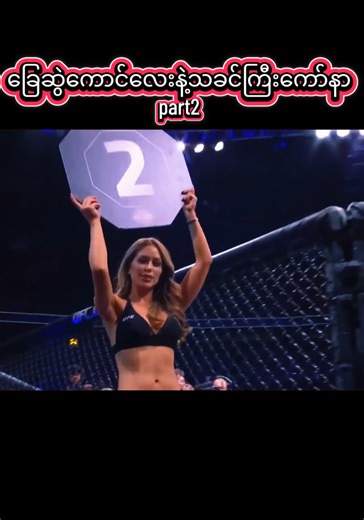 Conor McGregor vs Khabib: Epic Fight Highlights