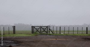 Argentina´s rancho and farmins, cattle breeding, livestock, animal, coas, calfs, Bulls