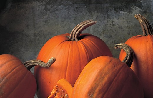 Halloween and Bonfire Night