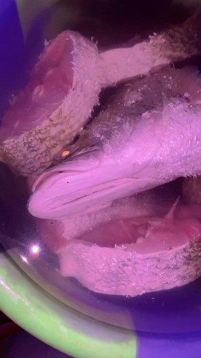 How to Clean Fish for Cooking: Step-by-Step Guide