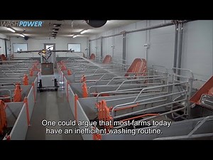 PIG FACTS: Automate cleaning of your farmhouse and improve efficiency