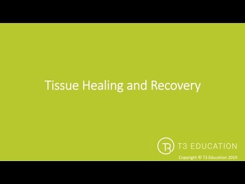 Stages of Tissue Healing