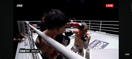 Joe Jang Dong Wins by Technical Knockout in Round 3