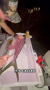 24K views · 161 reactions | Have you tried rainbow runner?! 樂 You can find these fish all over the world, you’ll often see them when you’re bluewater Spearfishing or diving the wrecks - they’re definitely worth spearing and eating! 異 #FilletFriday BUBBA Blade | Spearchannel | Facebook