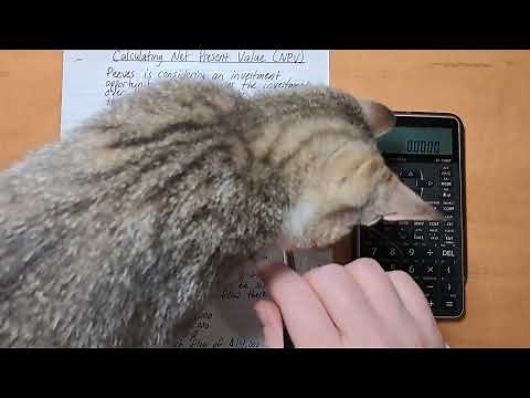 How To Calculate The Internal Rate Of Return (IRR) Using The SHARP EL-738XT Financial Calculator