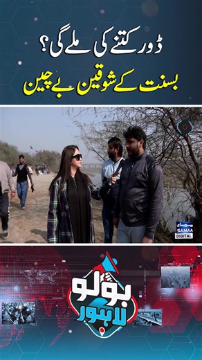 Basant Kite String Cost: What to Expect This Season