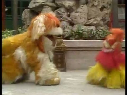 Big Bird in China: The Lion Dogs