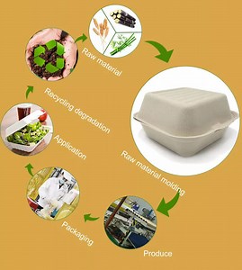 Clamshell Containers | Eco March
