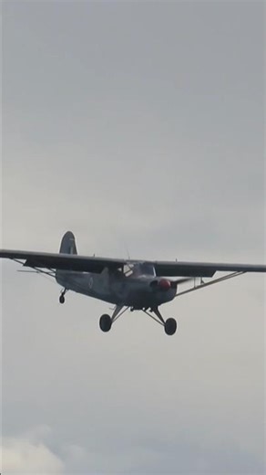 Silver piper cub landing at Goodwood #goodwood