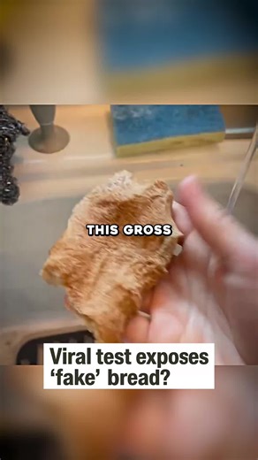 Scan the cleanest loaf’s inside the Exposr app 🎯 | loaf