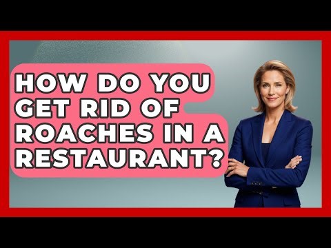 How Do You Get Rid Of Roaches In A Restaurant? - Insects and Invaders