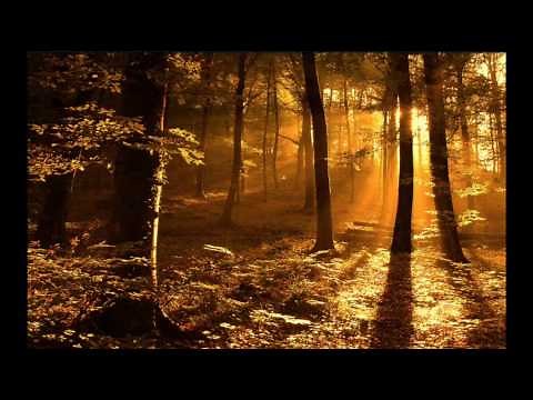Gregorian Chants - Amazing Grace (**Beautiful Christian song & music**)