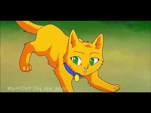 Firepaw Vs Longtail | Warrior Cats AMV | Courtesy Call | SSS Warrior Cats