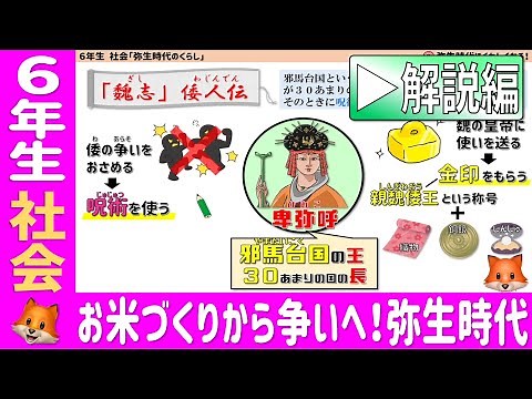 〈6年社会 歴史〉お米づくりから争いへ！弥生時代の生活【解説編】