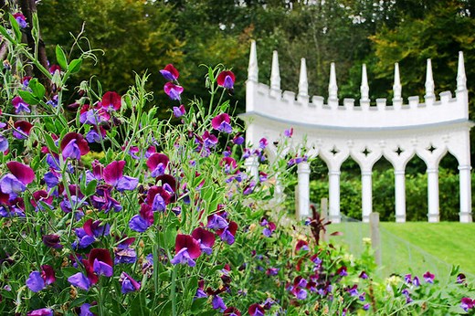 Painswick Rococo Garden