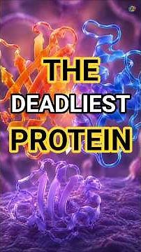Prions: The Deadliest Proteins in Biology