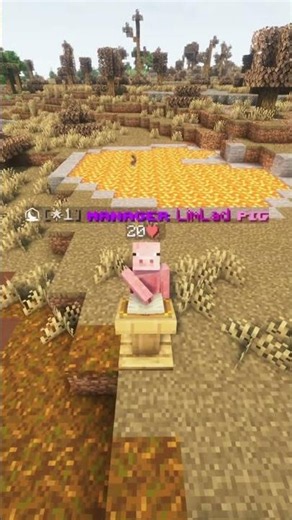 Best Public Minecraft SMP (2026) (Custom) #minecraftsmp #minecraft #smp #java #bedrock #crossplay