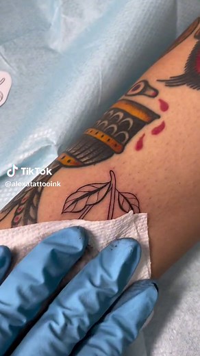 Alexandra.Nevares on TikTok